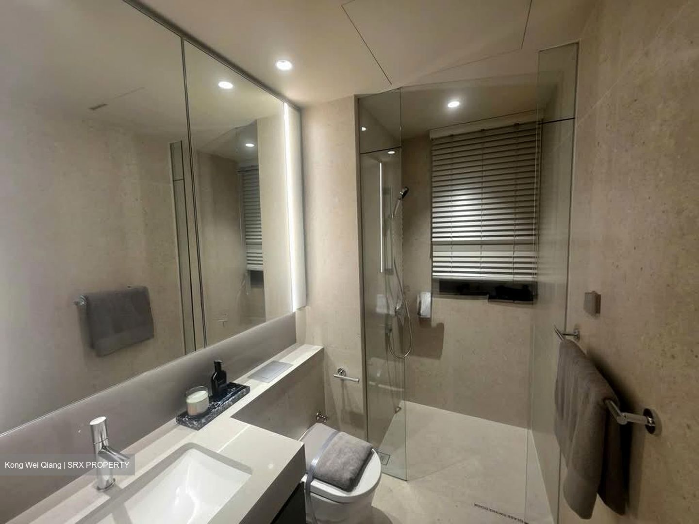 Hudson Place Residences (U/C) (D5), Apartment #598174561